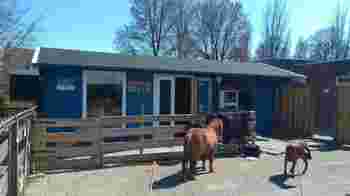 Oud papier lopers gevraagd