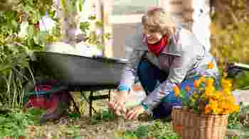 Maak iemand blij met jouw groene vingers!