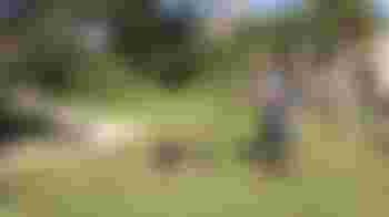 Tuinonderhoud op de kinderboerderij