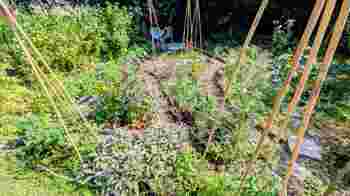 Stuk moestuin aangeboden op Nieuw Rotsoord