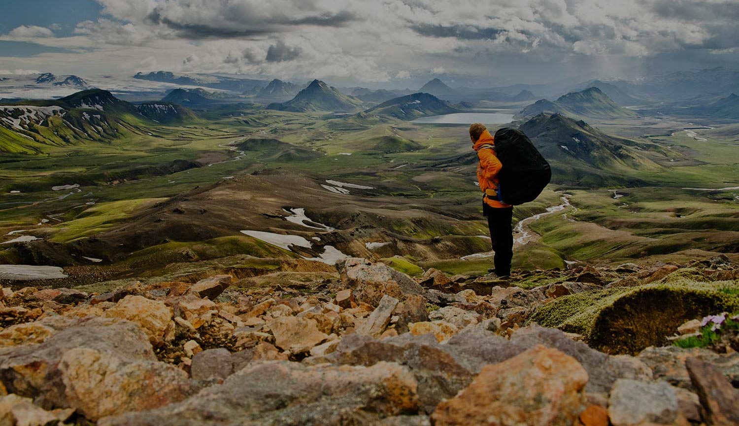 Teamlead Marketing (2–4 uur p/w) 