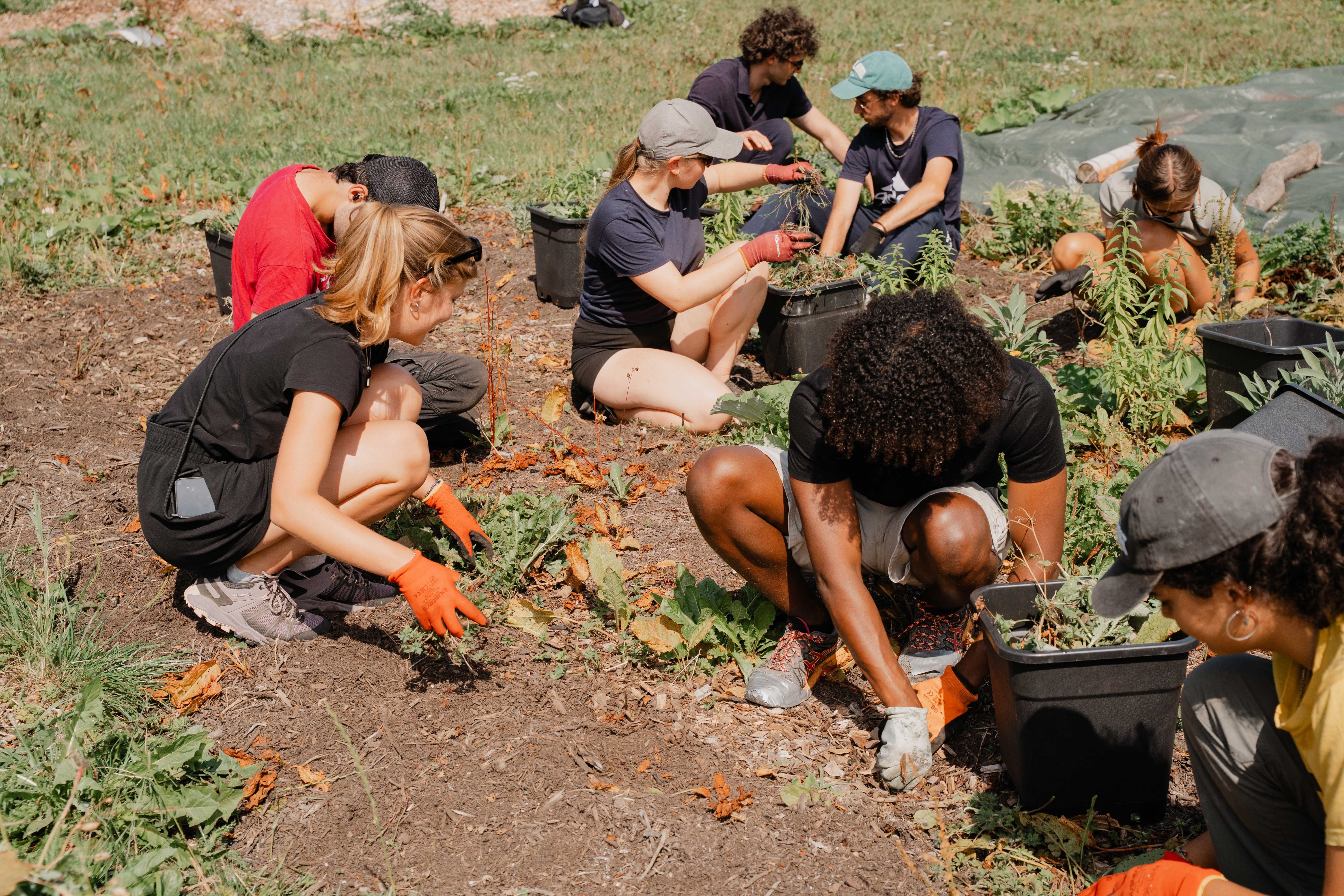 Teamlead Finance (2–4 uur per week)