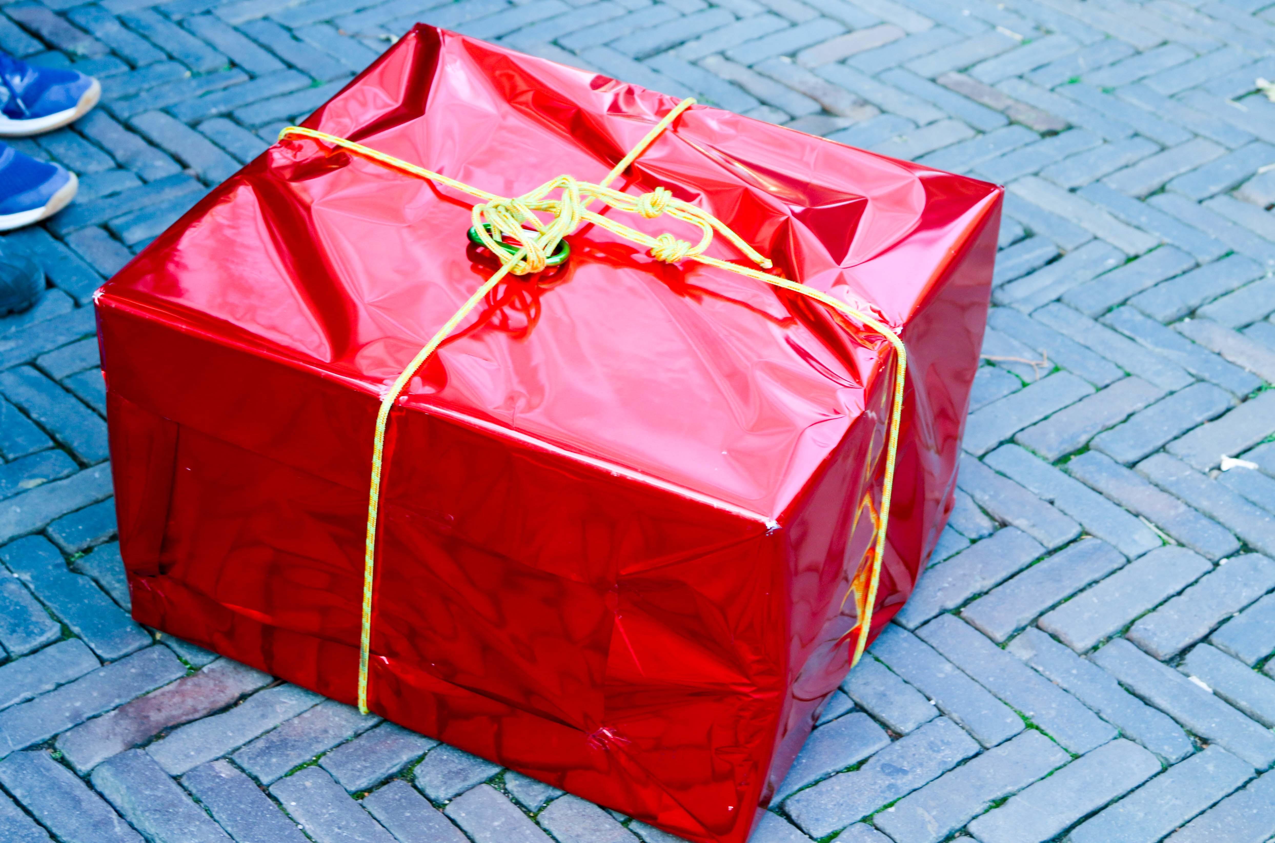 Coördinator Toegankelijkheid & Inclusiviteit – Sinterklaasintocht Utrecht