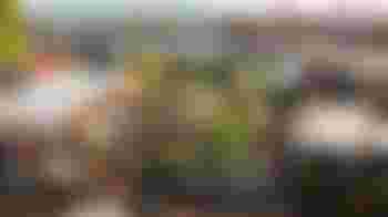 Host in Kunstcafé De Nijverheid voor doordeweekse middagen