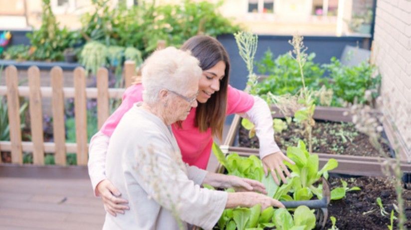 Help jij Bregje met haar tuin op orde brengen?