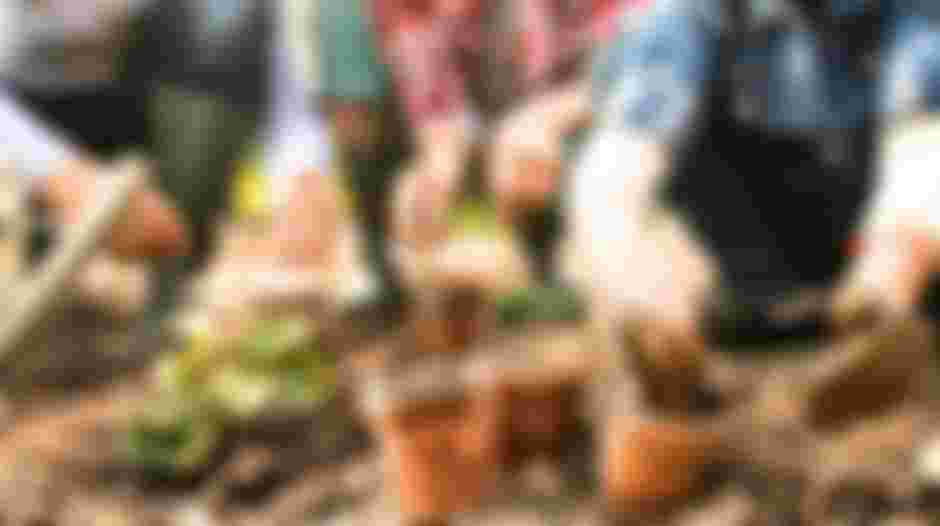 Help mee het schoolplein van OBS Kees Valkenstein te vergroenen!