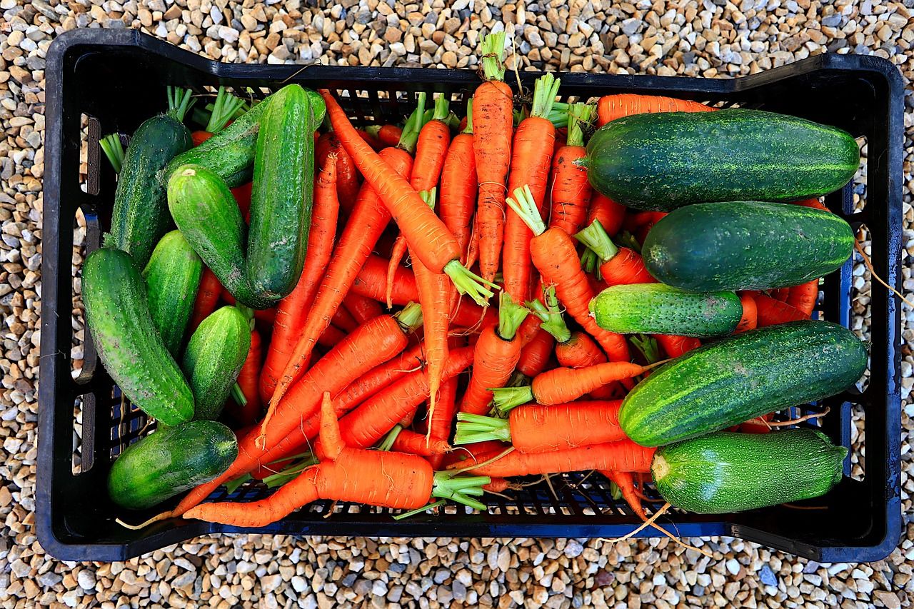 Maatje: mee naar de voedselbank