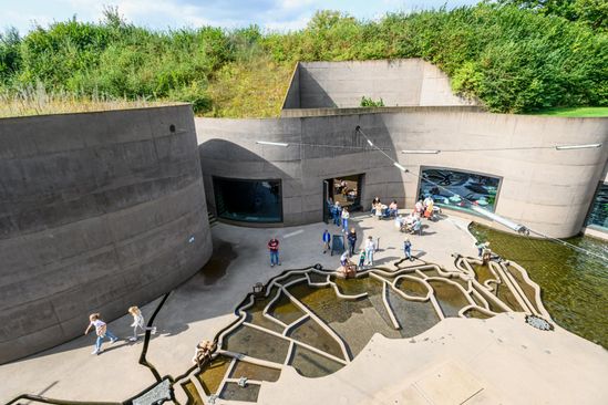 Coördinator Educatie