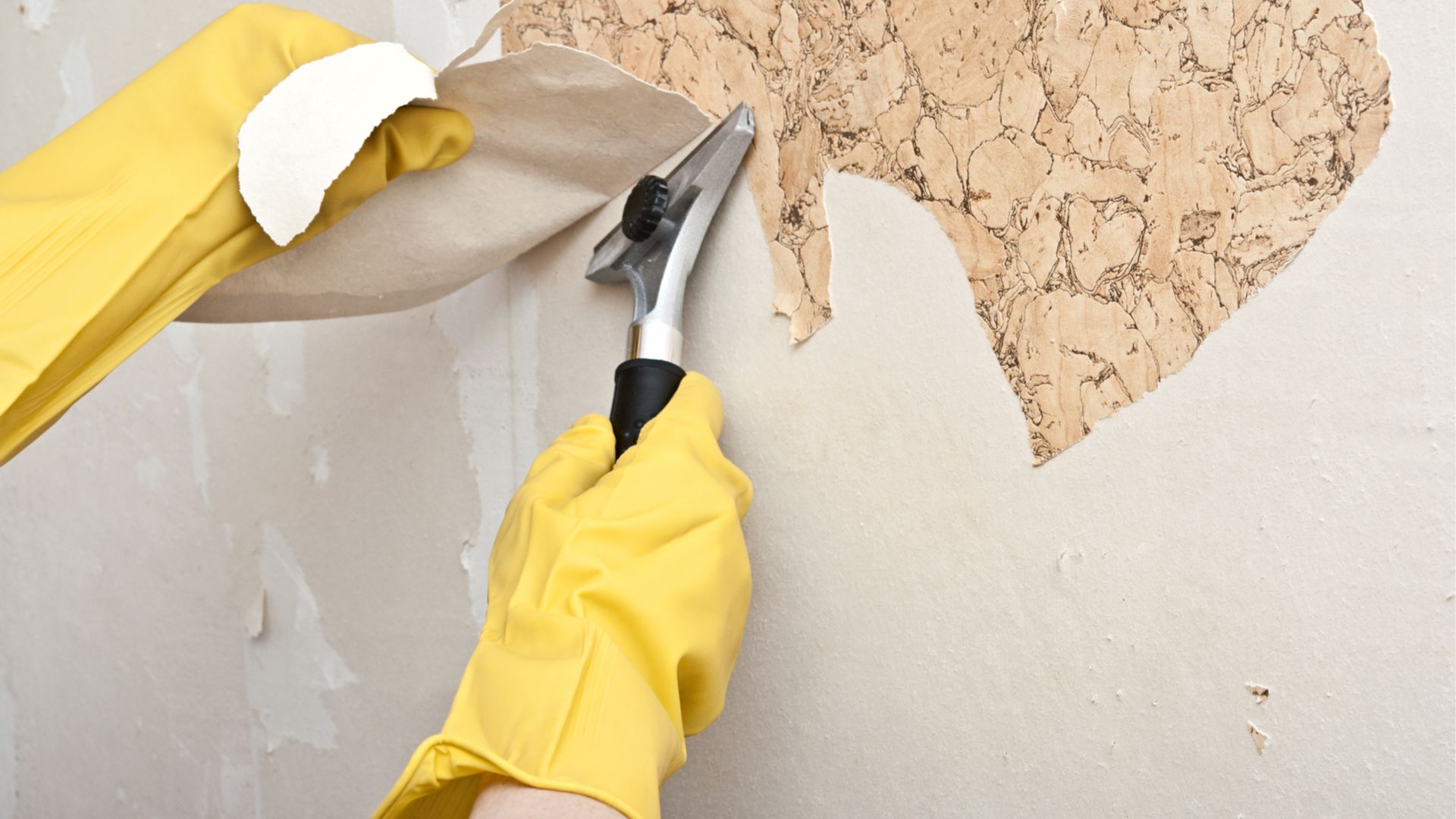 Spoed: Kluskanjers gezocht voor Hartverwarmend Project