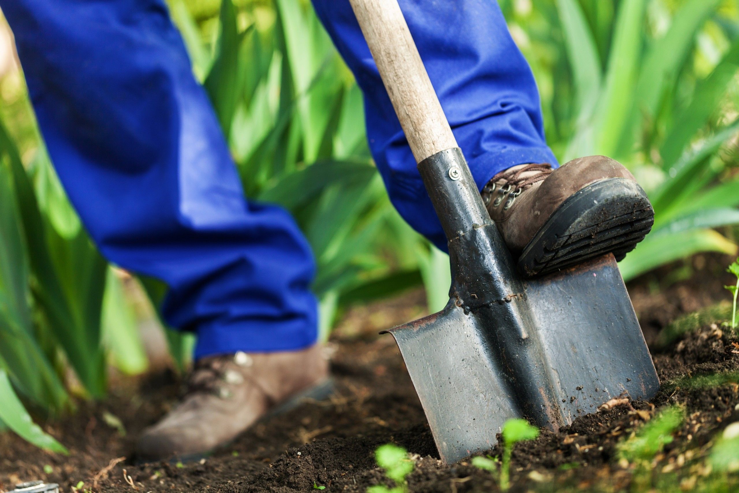 Helpende hand in de tuin gezocht!