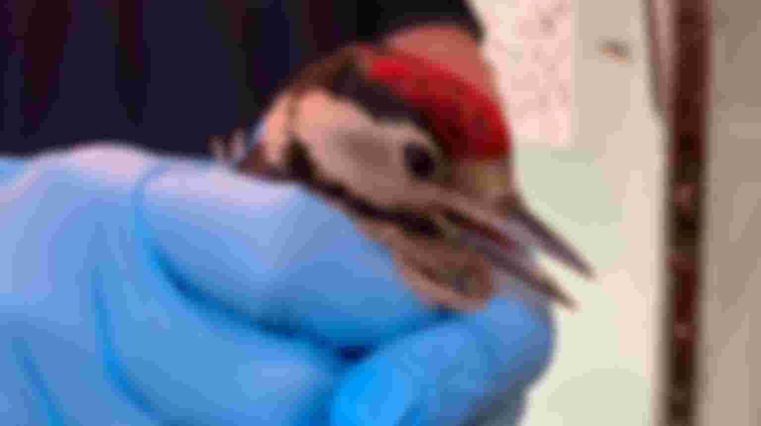 Communicatie expert gezocht