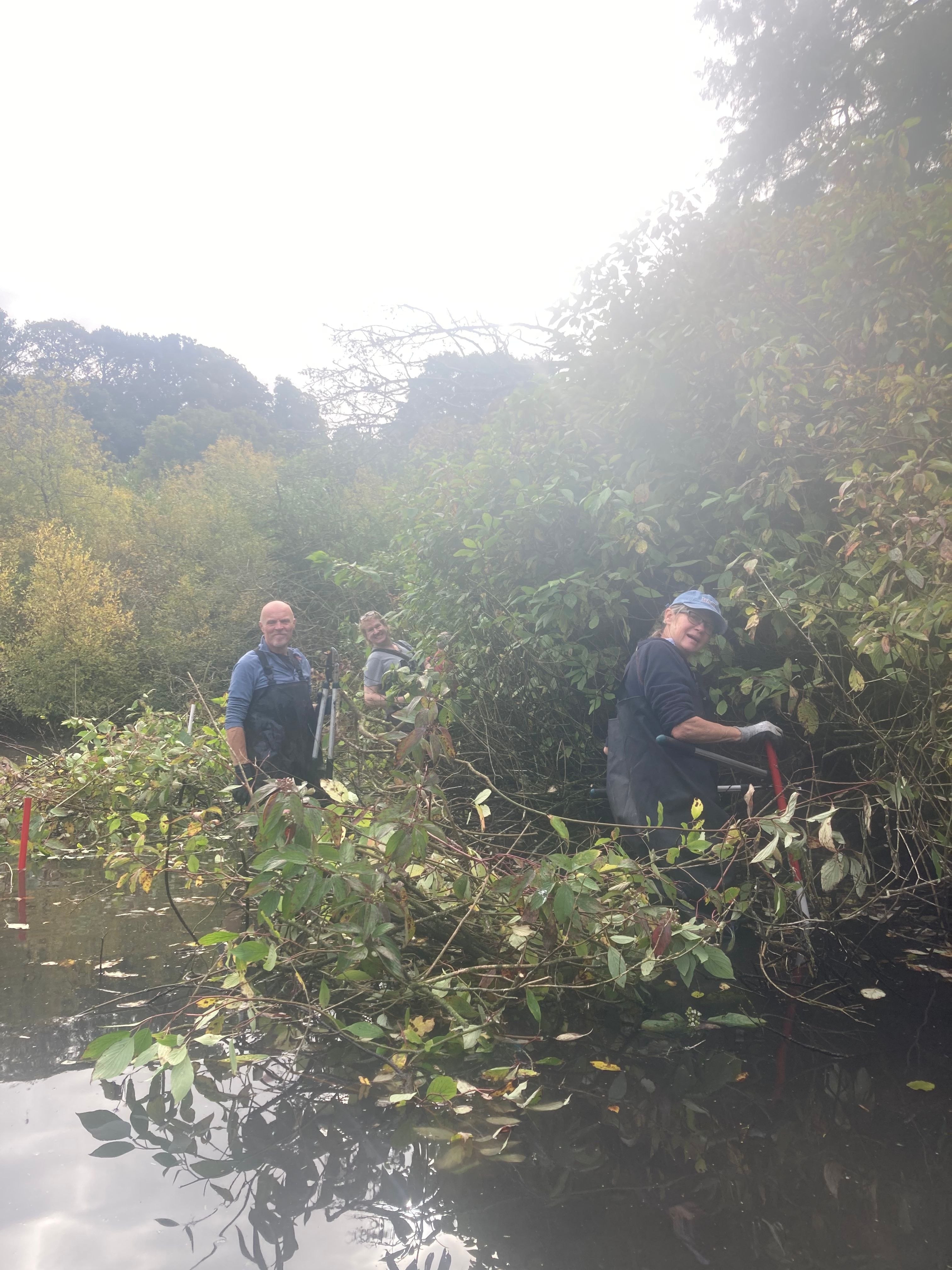 Workday- Dogwood clearing at Ninesprings lake