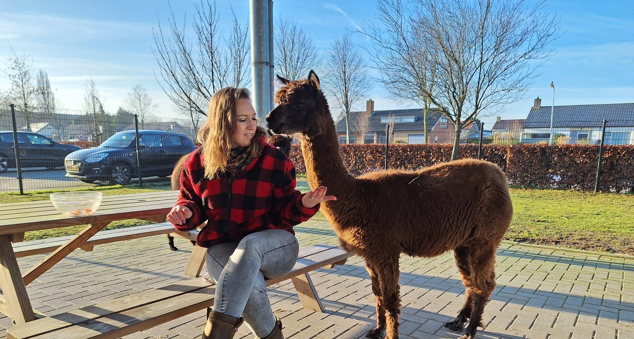 Dierenliefhebbers voor de kinderboerderij 