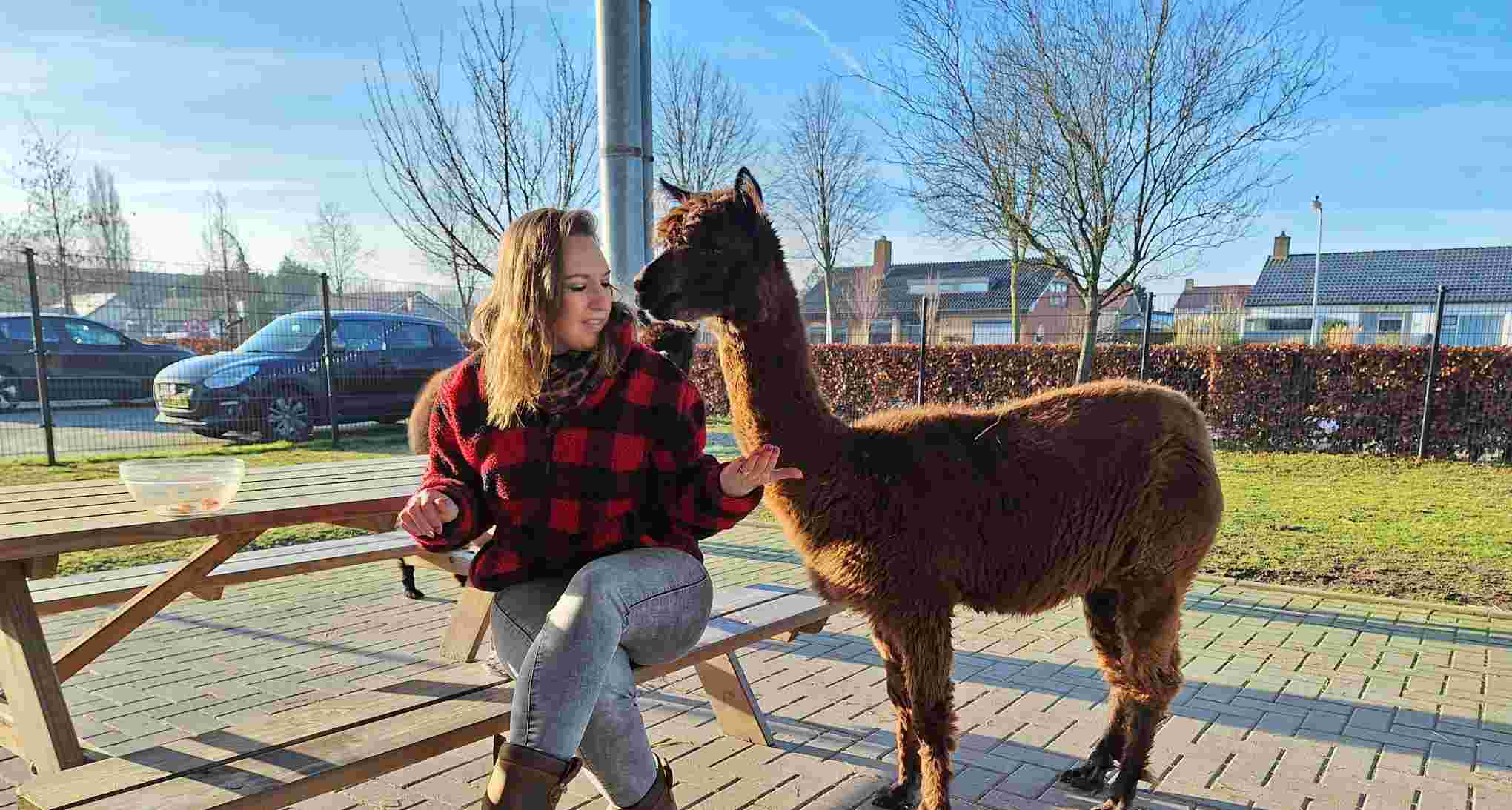 Dierenliefhebbers voor de kinderboerderij