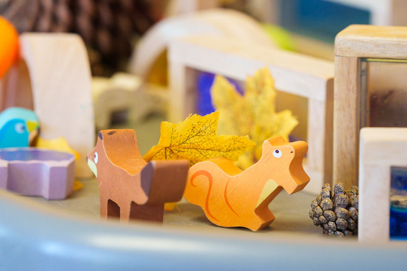 Pop in and Play Volunteer