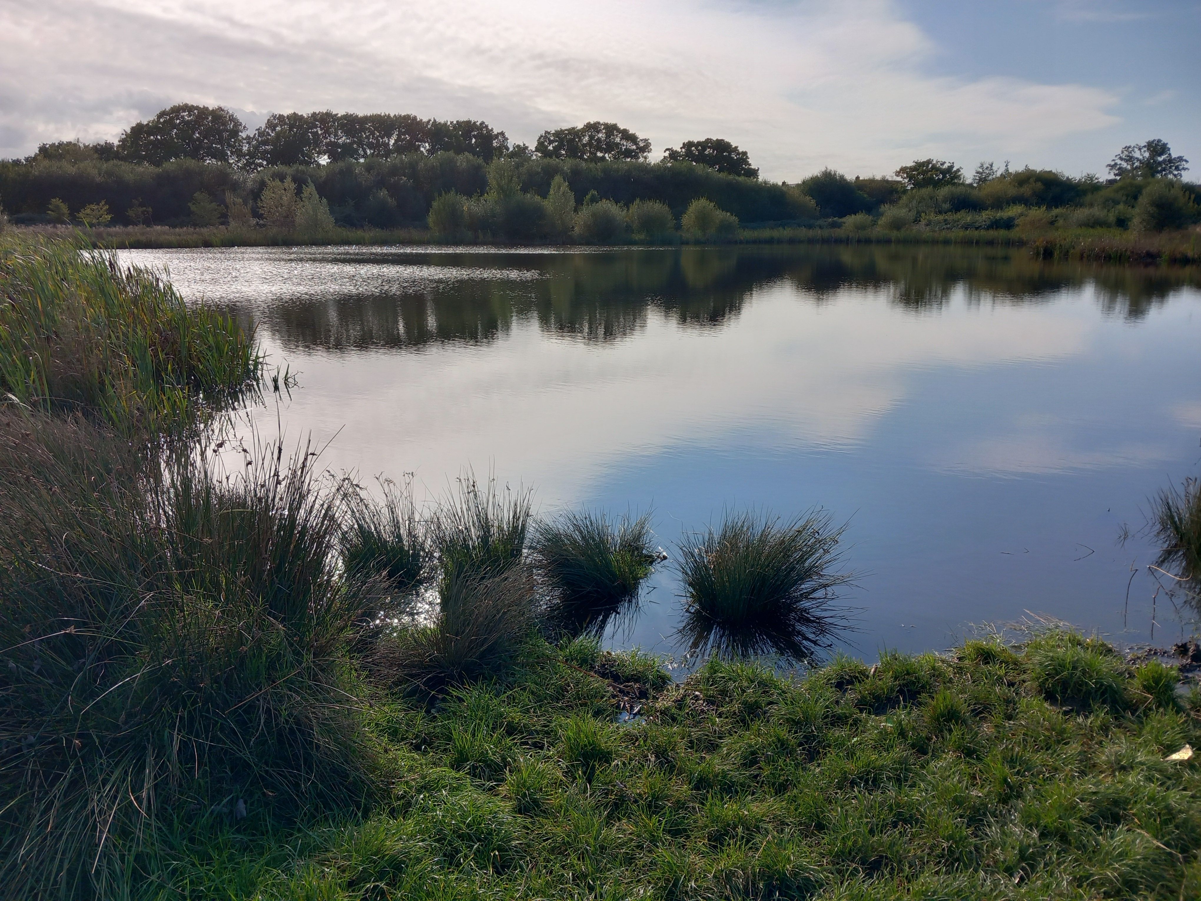 Wildlife Surveyor Wilstock and Stockmoor Country Park