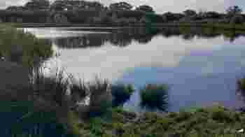 Wildlife Surveyor Wilstock and Stockmoor Country Park