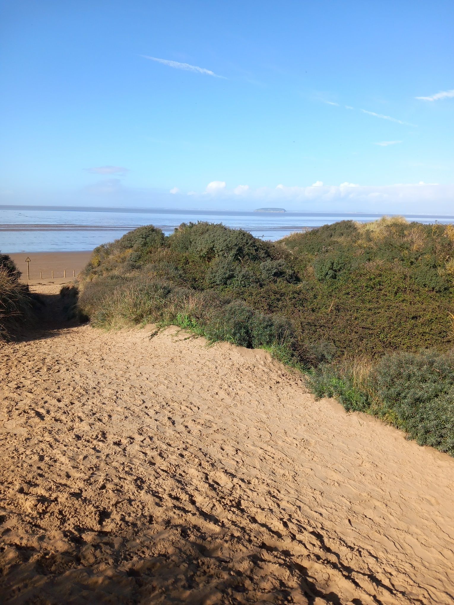 Wildlife Surveyor Berrow Dunes
