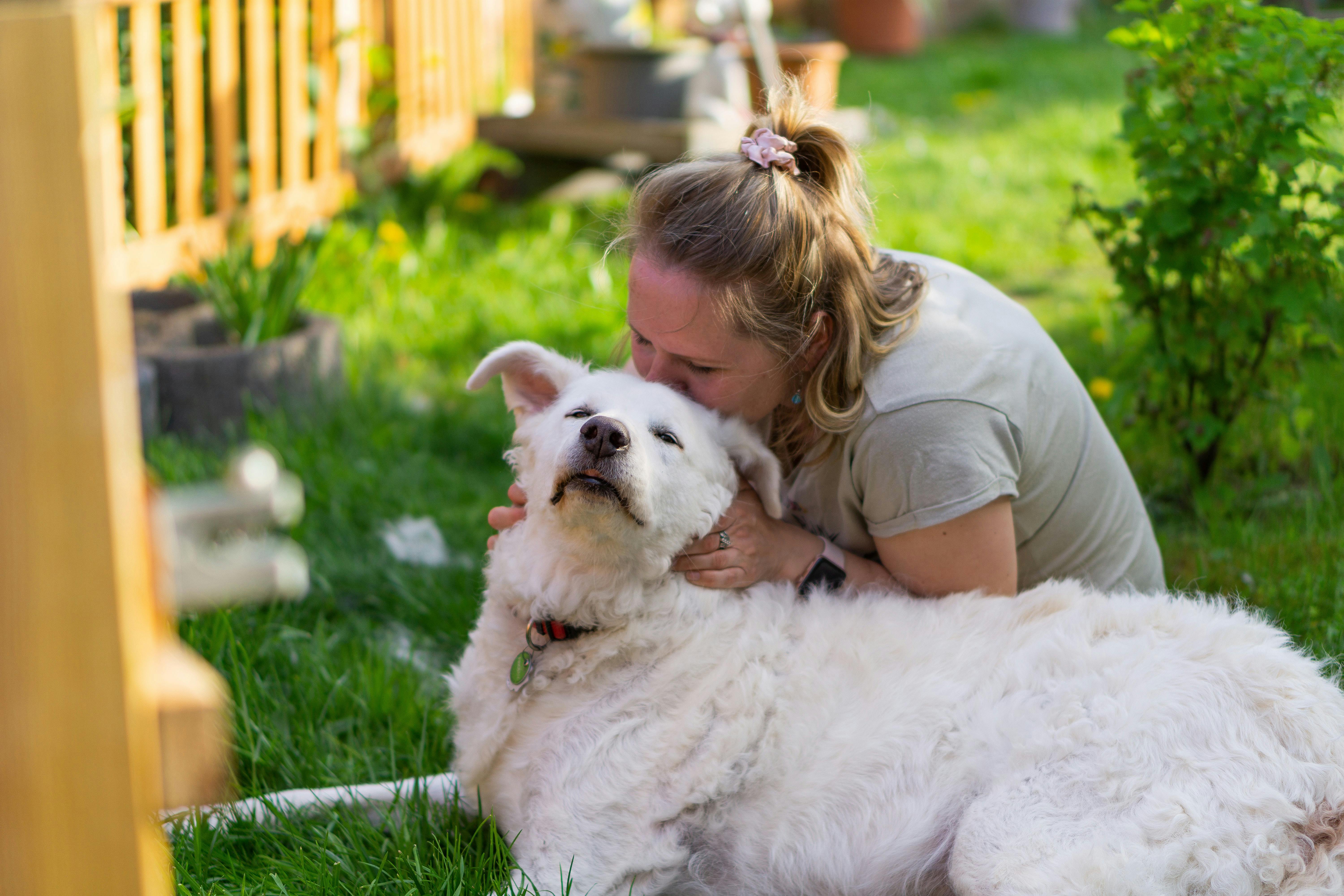 Karin (67) zoekt een leuk sociaal maatje om samen de hond mee uit te laten.
