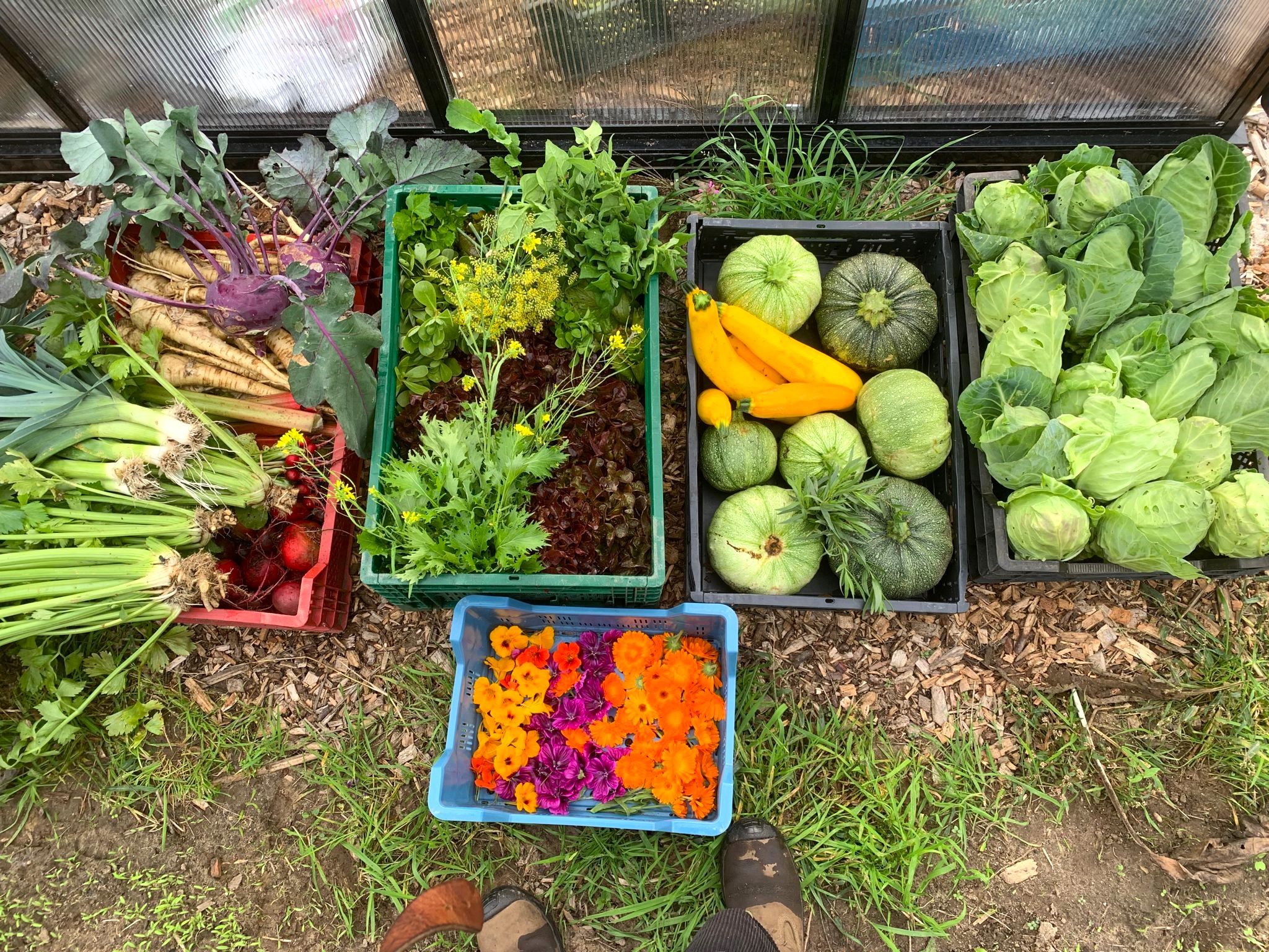 Vrijwilligers voor onze Volksakker