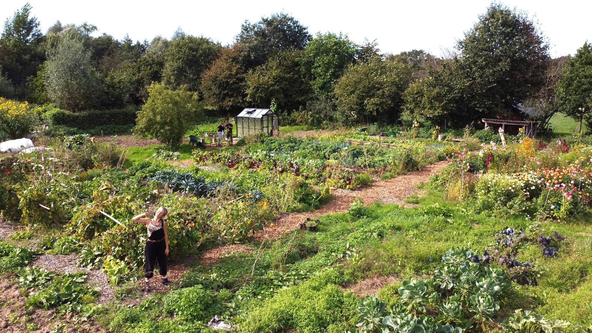 Vrijwilliger voor biologische Volksakker