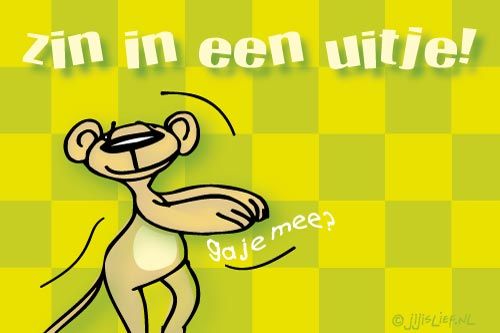 Vrijwilliger gezocht voor gezellige uitstapjes!