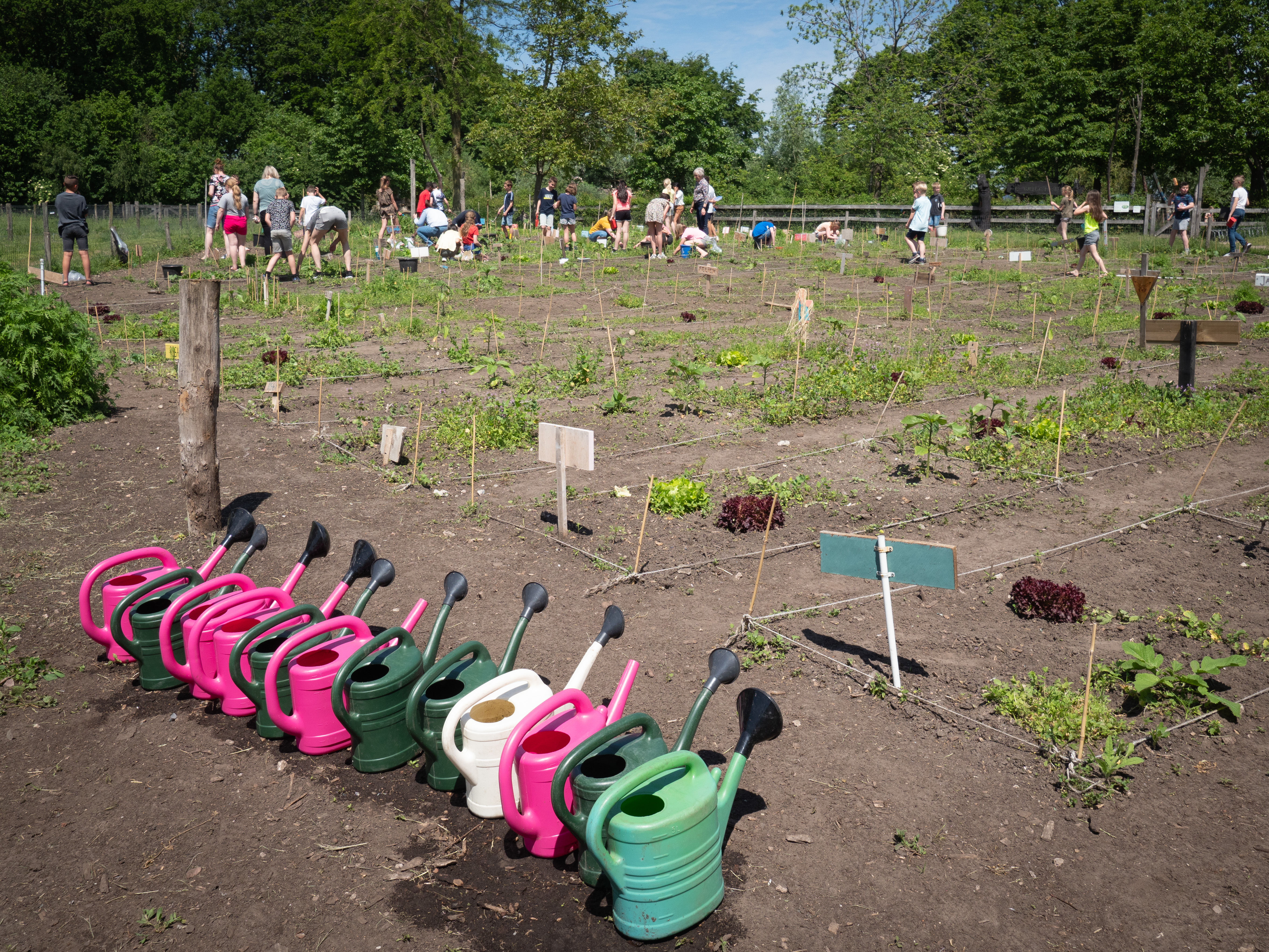 Vrijwilligers schooltuinen