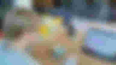 Vrijwilliger TechPortaal