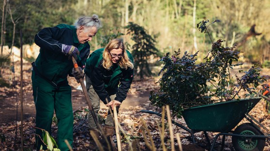 vrijwilligerswerk natuuronderhoud