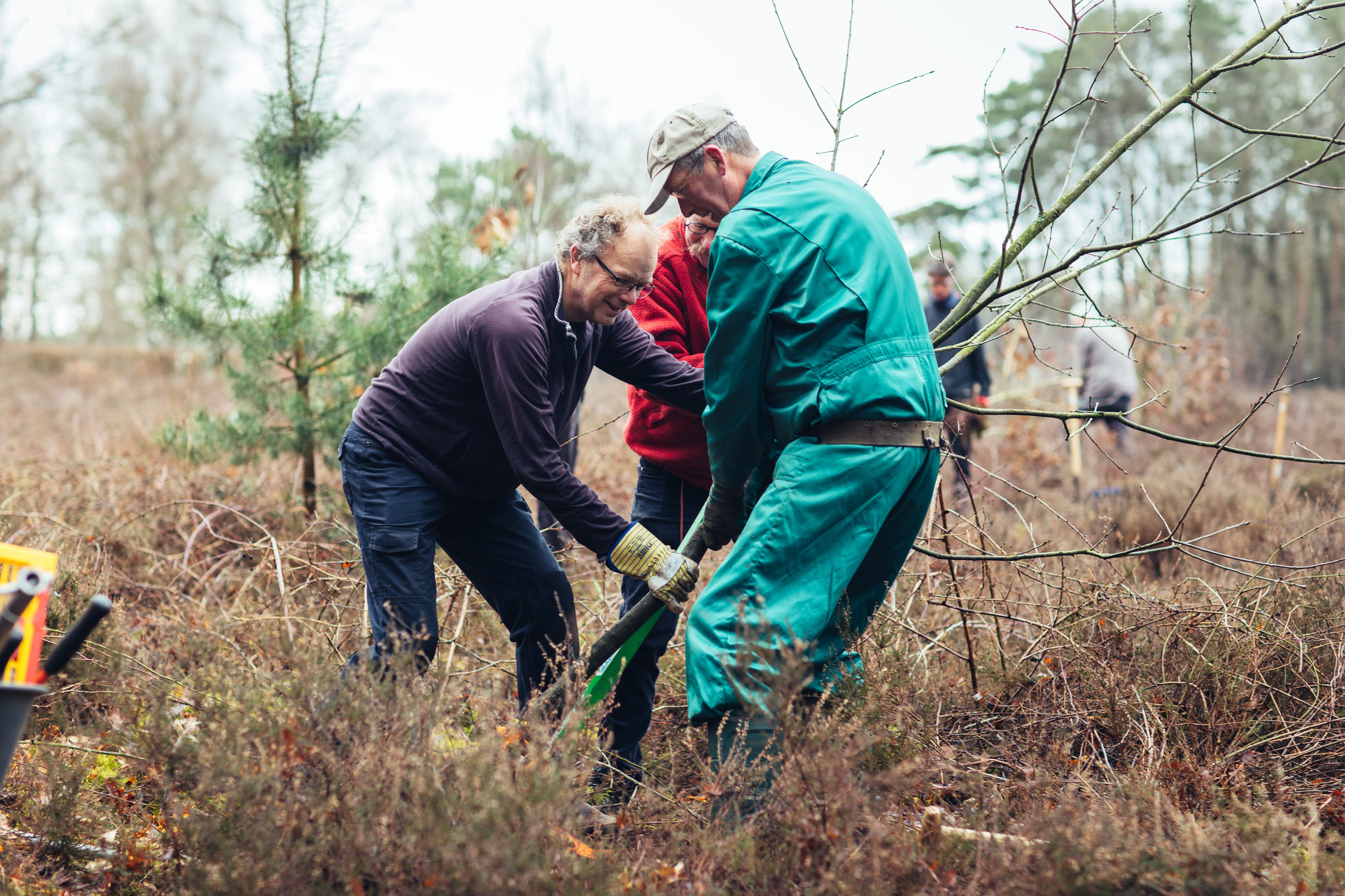 landschapsbeheer vrijwilligerswerk