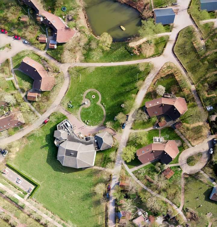 Maatje gezocht voor kleurrijke persoonlijkheid