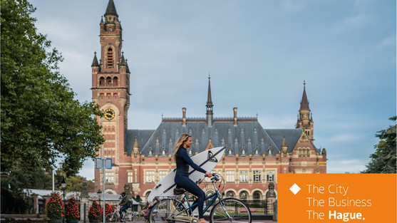 Volunteer The Hague Announces Strategic Partnership with The Hague & Partners to Support NGO Expansion in Europe The Hague, Netherlands — Volunteer The Hague is proud to announce an exciting new partnership with The Hague & Partners, a publicly funded nonprofit organisation dedicated to helping innovative and impact-driven organisations expand their operations into Europe.