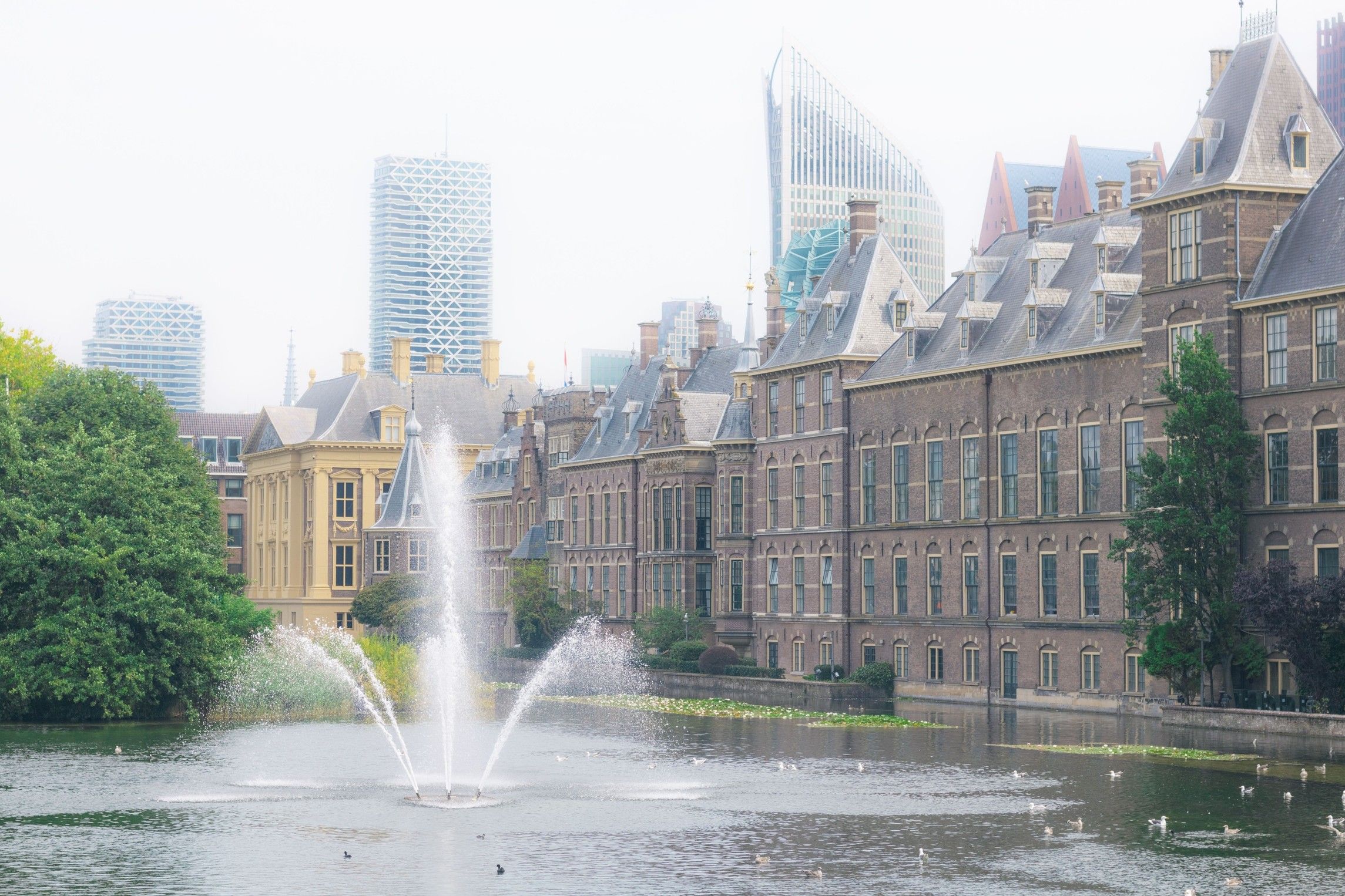 On the International Day of Peace, Hope Box, The Hague Humanity Hub, Leiden University College and Amare come together for an evening of art and dialogue as part of Hope Box - Piece for World Peace.