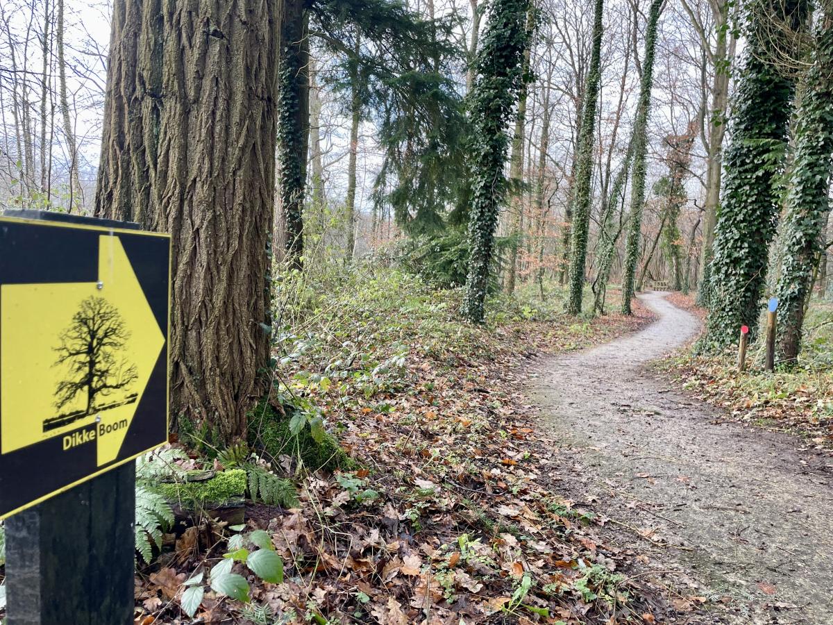 Samen een uur wandelen in Laren e.o.