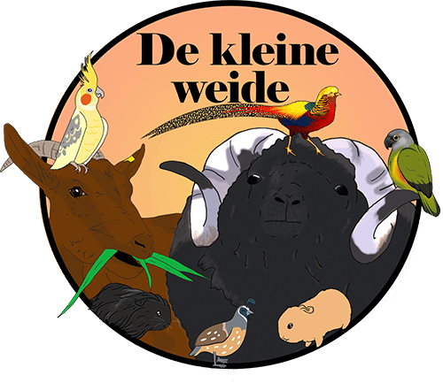 Kinderboerderij de Kleine Weide
