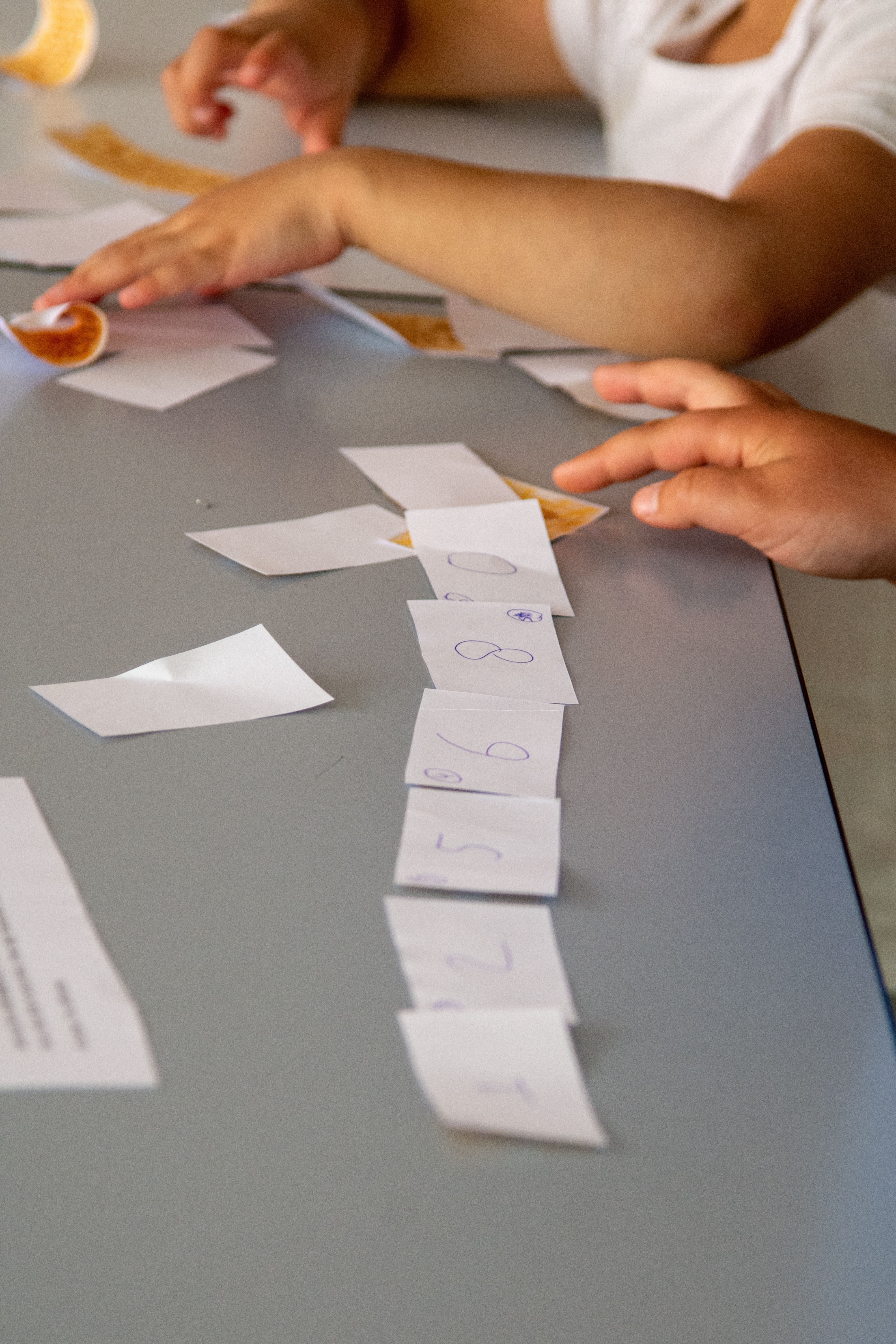 Stichting Nieuw in Nederland