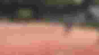 Assistentie bij Tennis voor mensen met dementie (CLZ 3e klas)