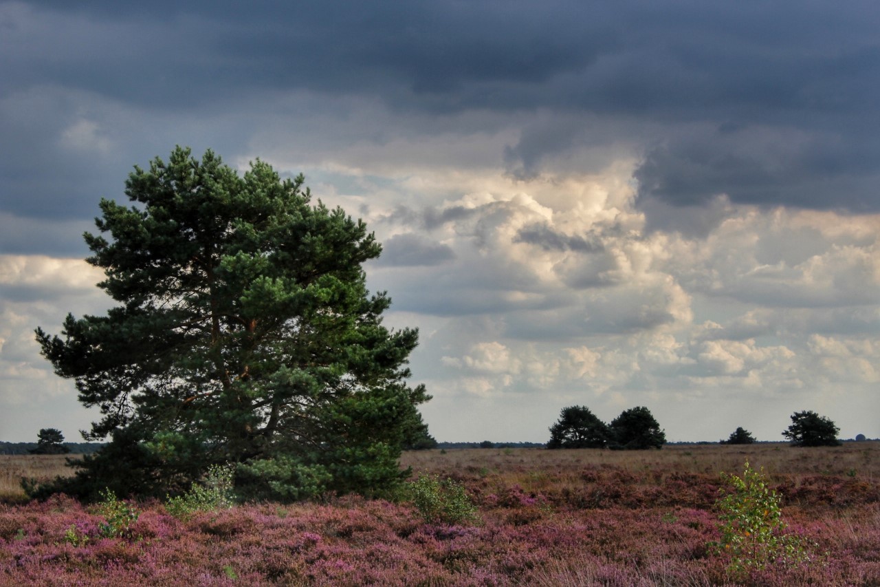 Bezoekerscentrum Hof Espelo