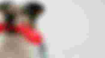 Gezocht: medewerker meldkamer