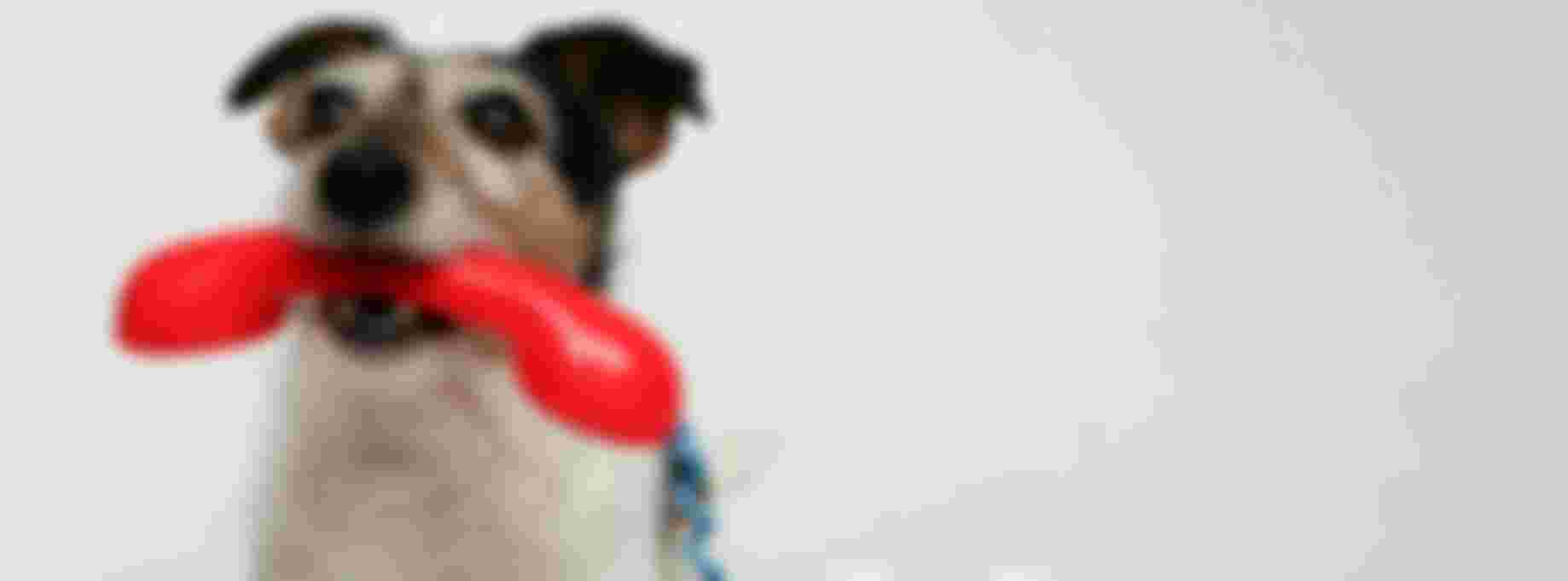 Gezocht: medewerker meldkamer