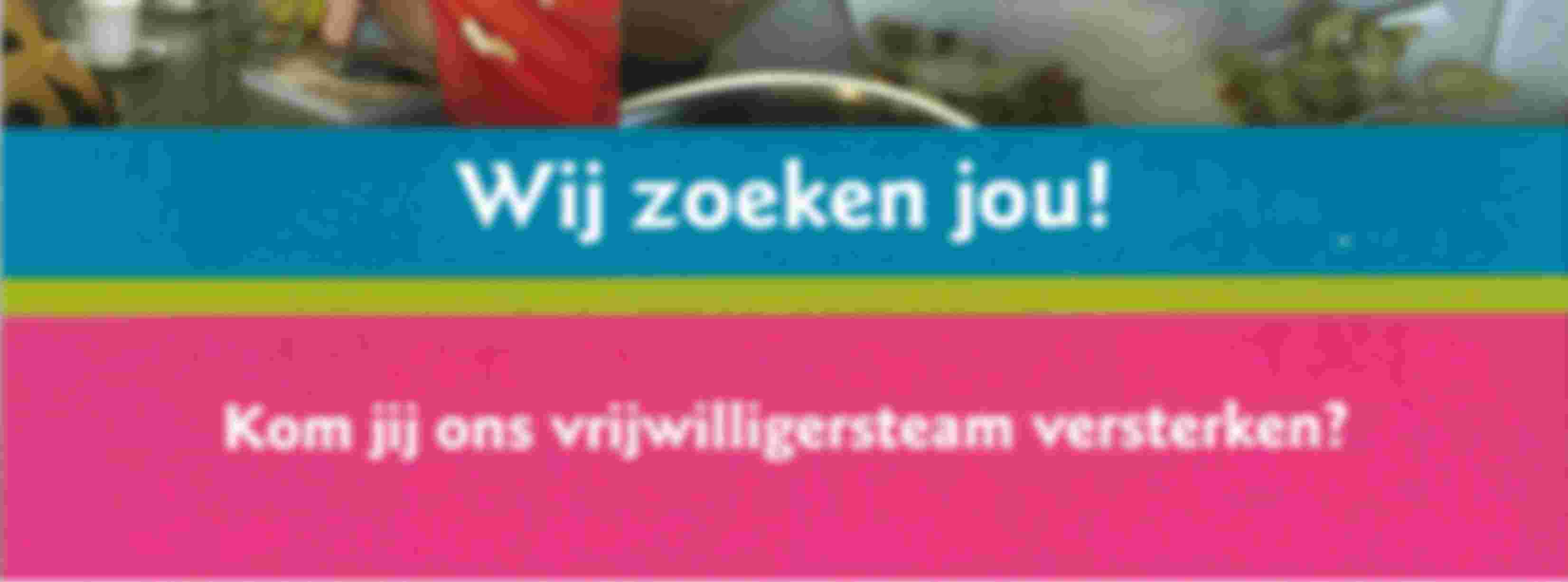 Vrijwilliger internet cafe 't huis a/d Vecht