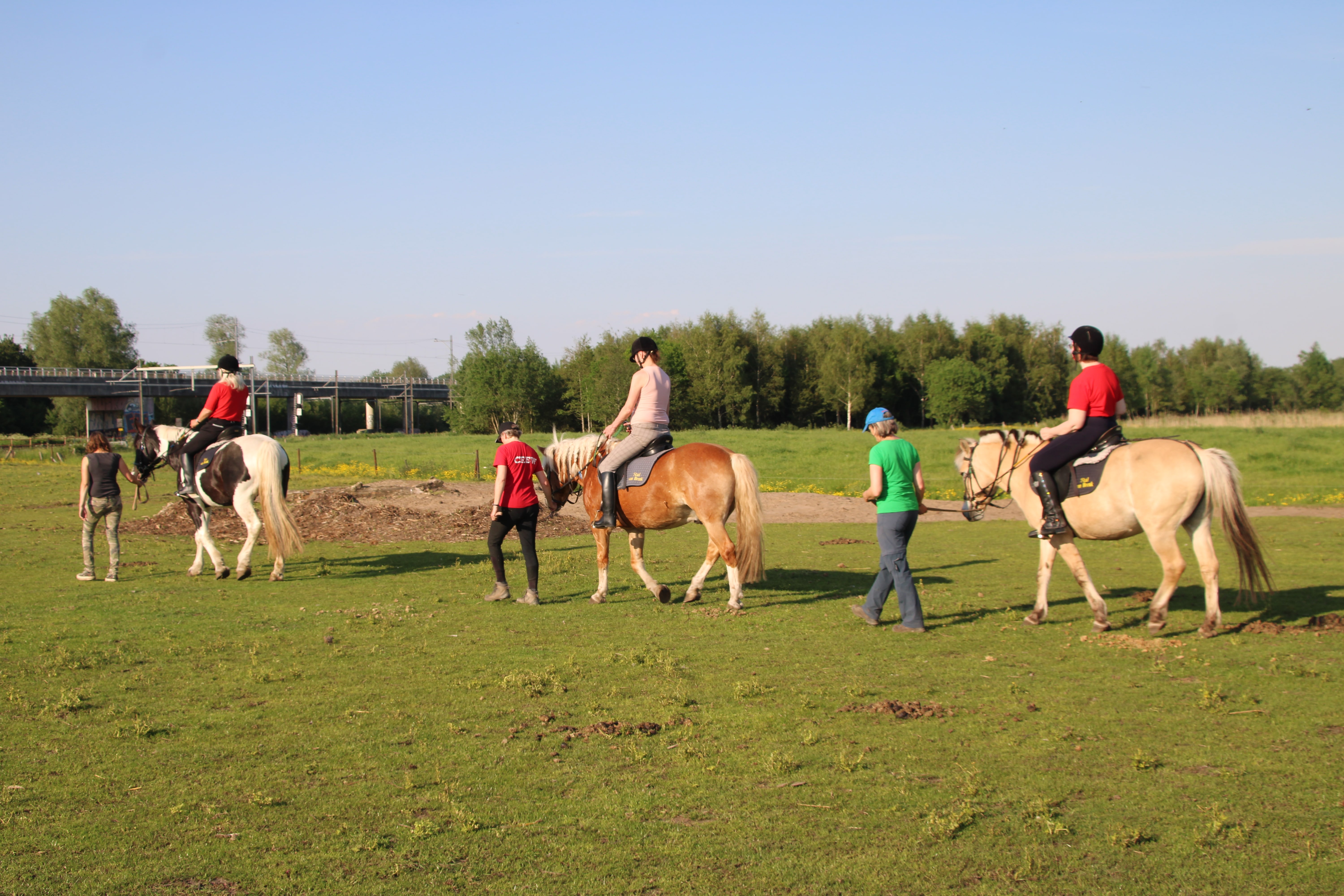Stichting Ariane de Ranitz
