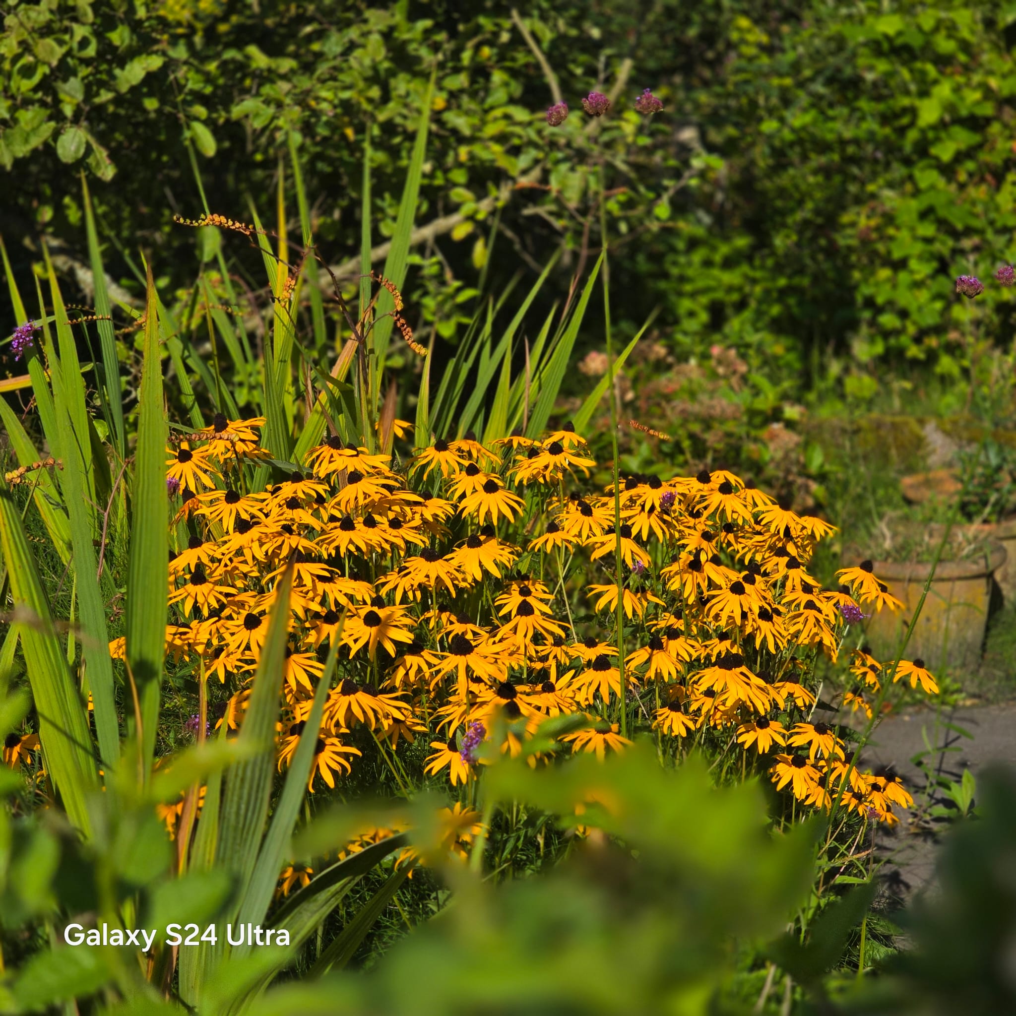 Careyn Thuis begeleiding