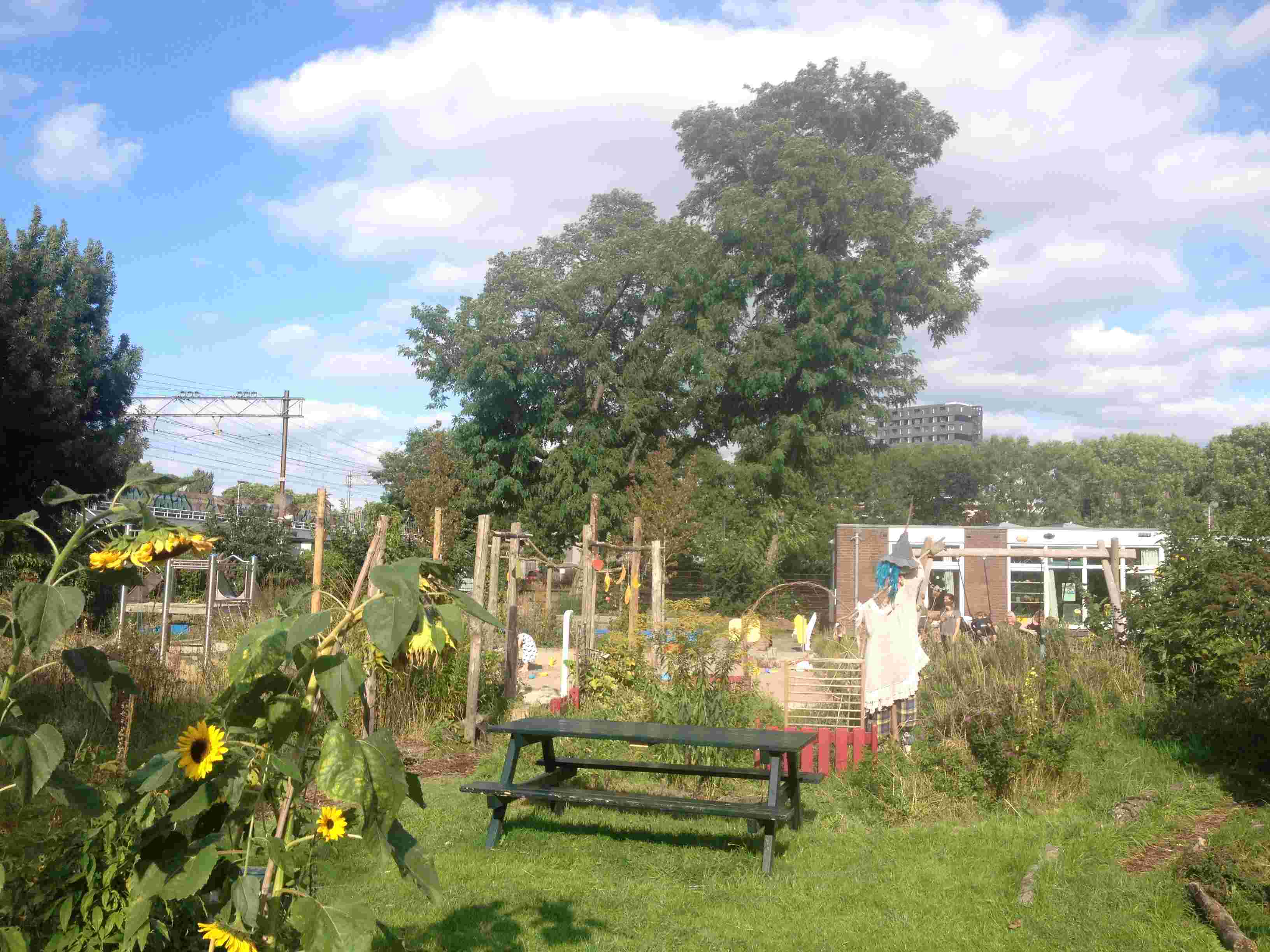 organisatie van activiteiten: