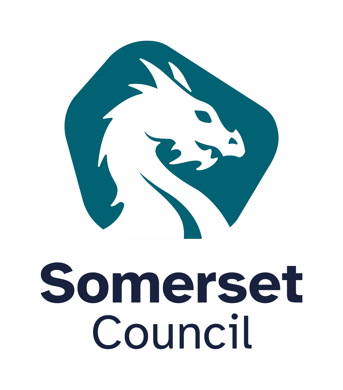 Somerset Council