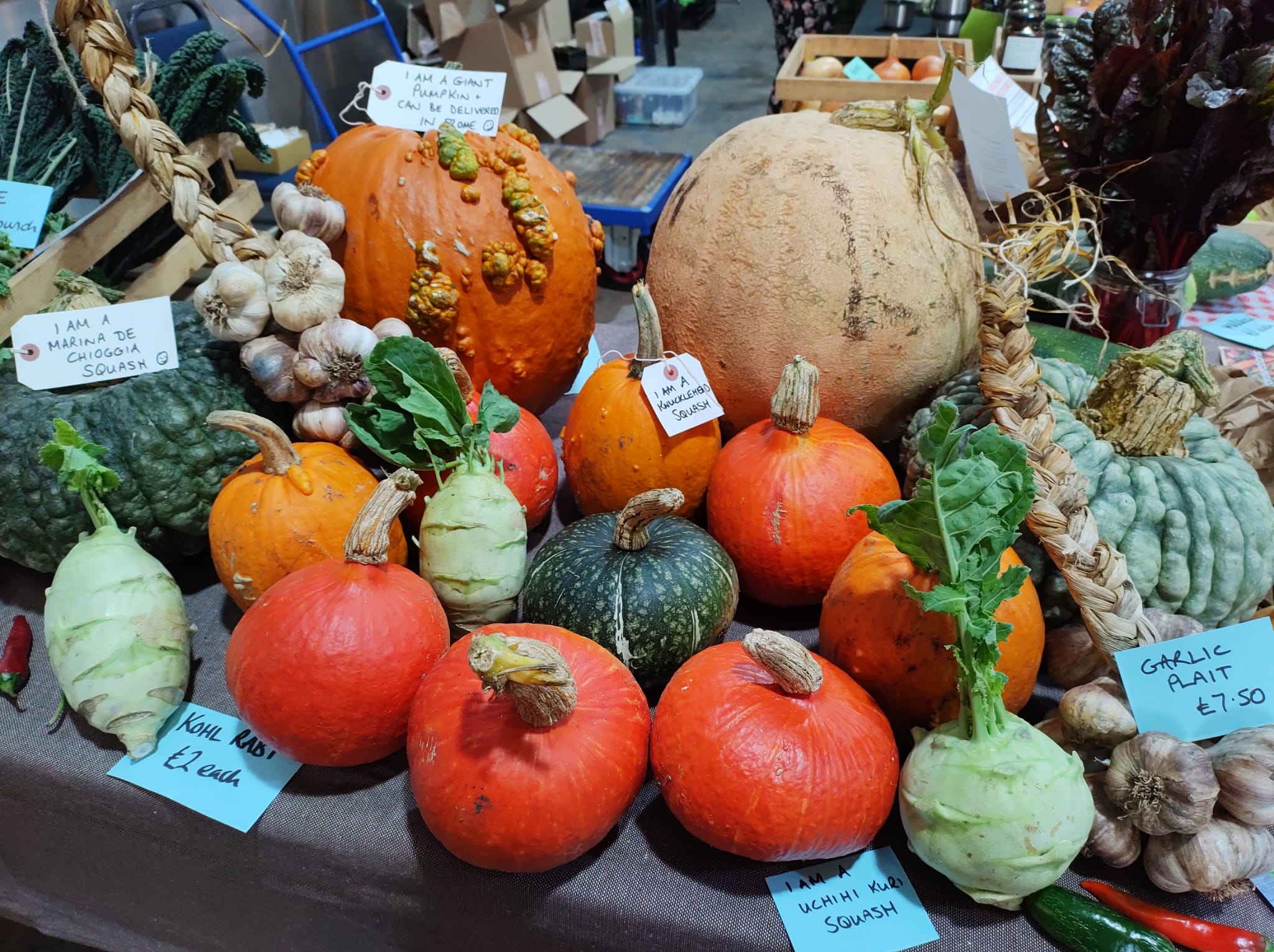 Root Connections CIC