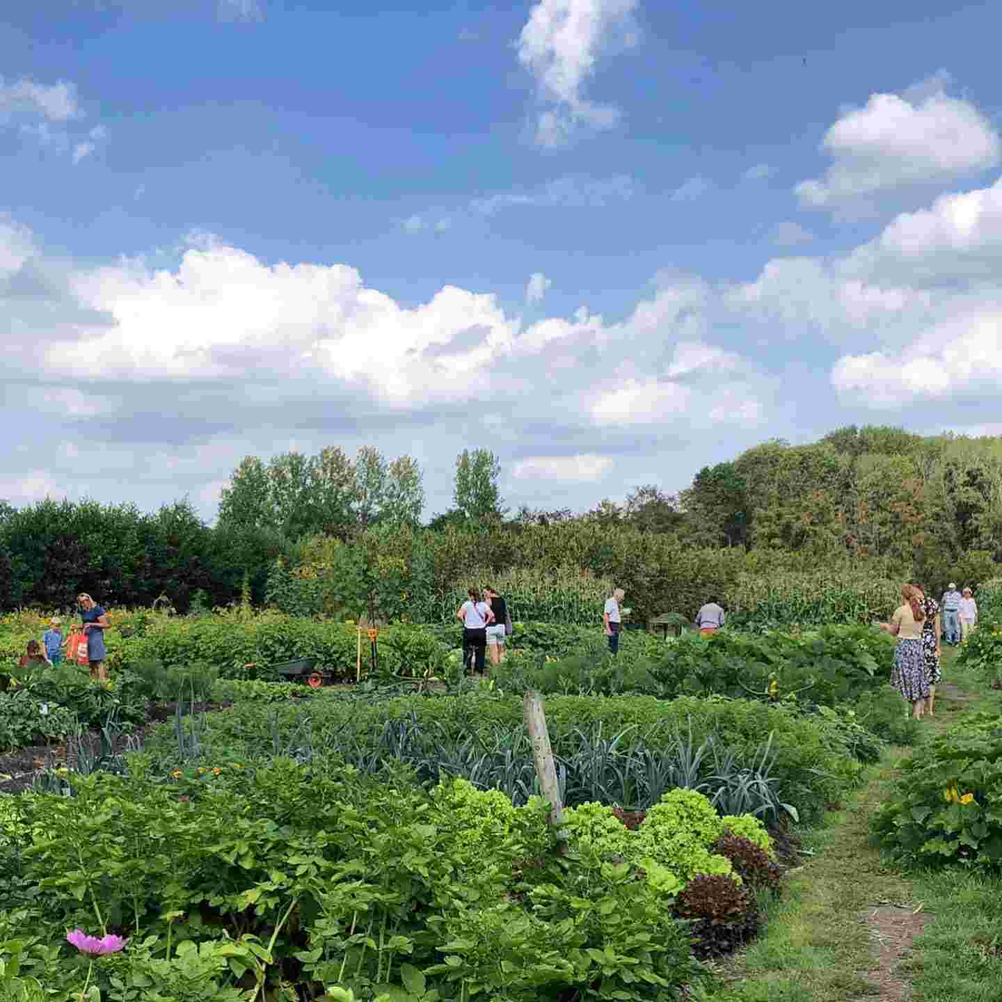 Proeftuin van Linschoten