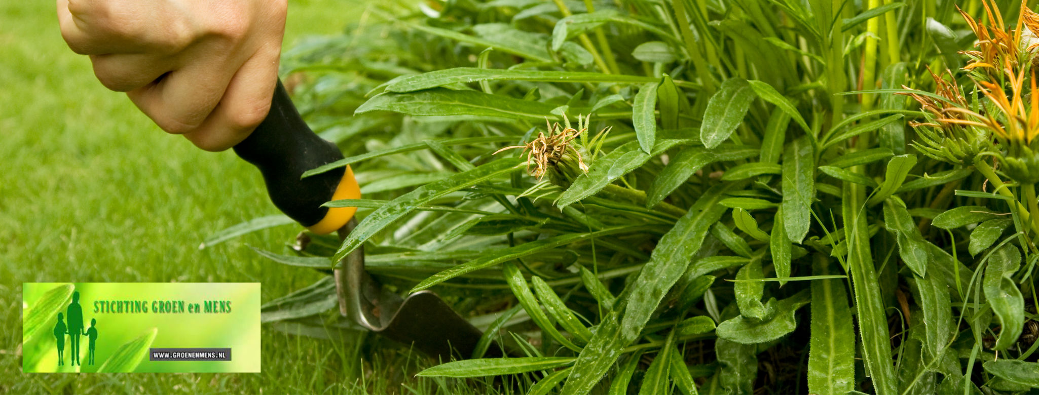 Stichting Groen en Mens