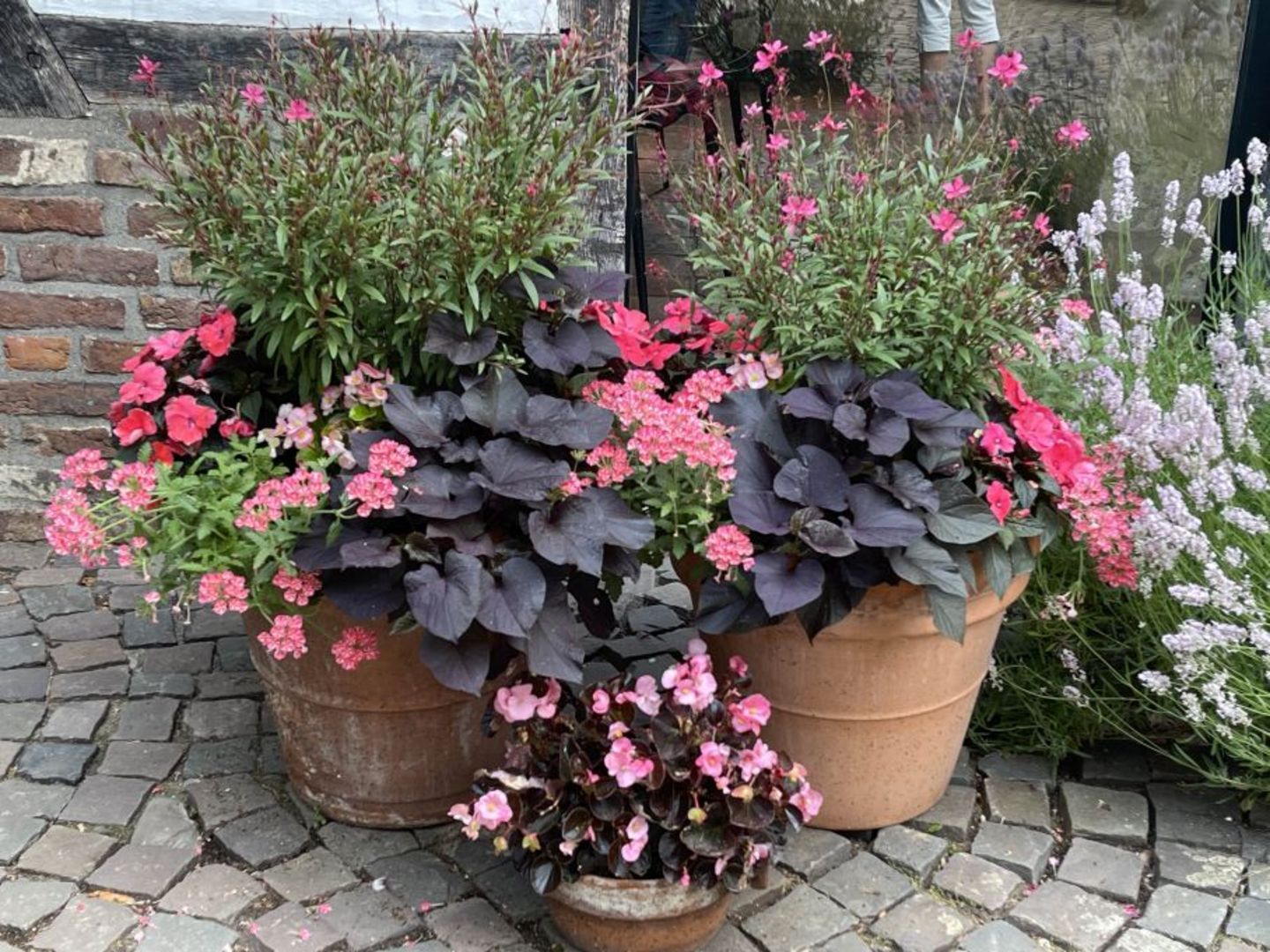 Groei&Bloei Deventer