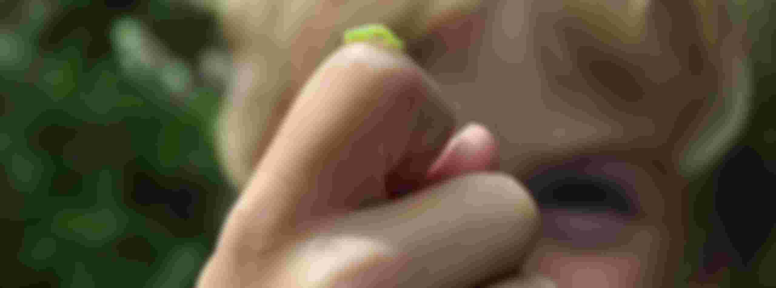 Word vrijwilliger bij onze balie bij MAK Blokweer